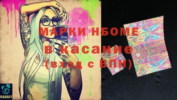 крисы Няндома