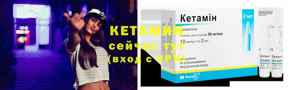 крисы Няндома