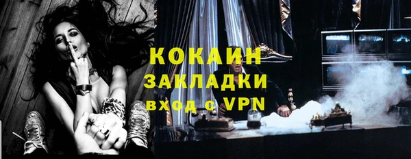 ГАЛЛЮЦИНОГЕННЫЕ ГРИБЫ Арсеньев