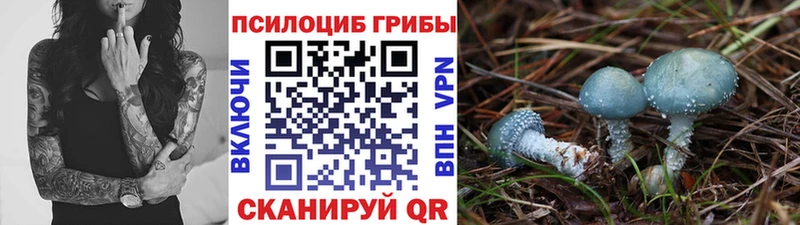 Псилоцибиновые грибы GOLDEN TEACHER  MEGA вход  Свирск 